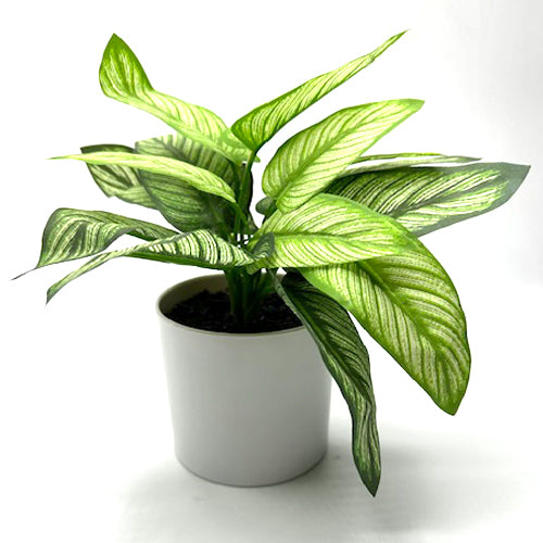 PLANT, SMALL, Table Top, White Plastic Base