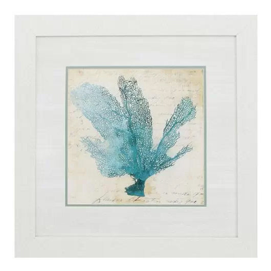 Blue Coral I