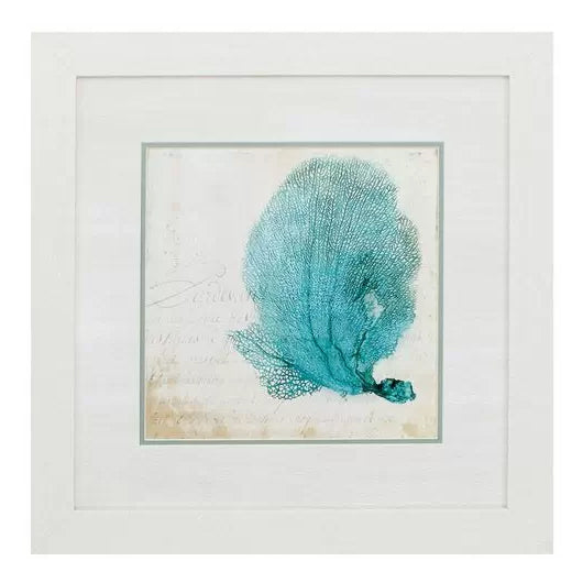 Blue Coral II