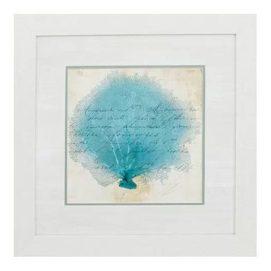Blue Coral IV