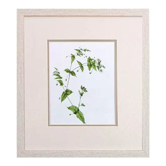 Botanical I