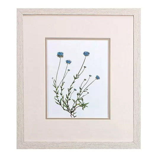 Botanical III