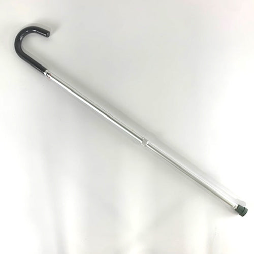 CANE, SILVER
