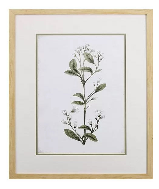 Little Flower II