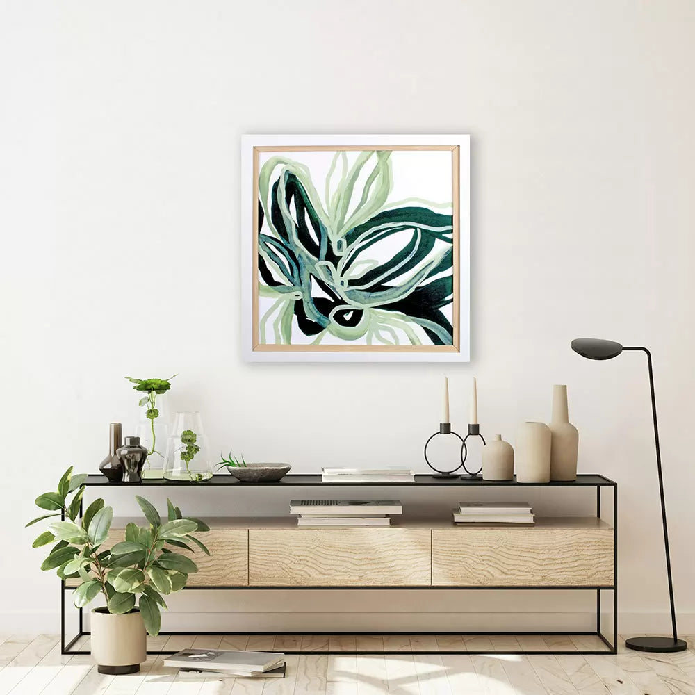 Aloe Star I