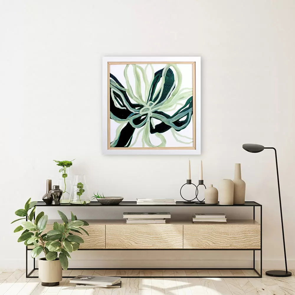 Aloe Star II