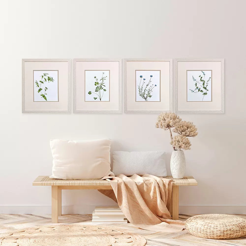 Botanical III