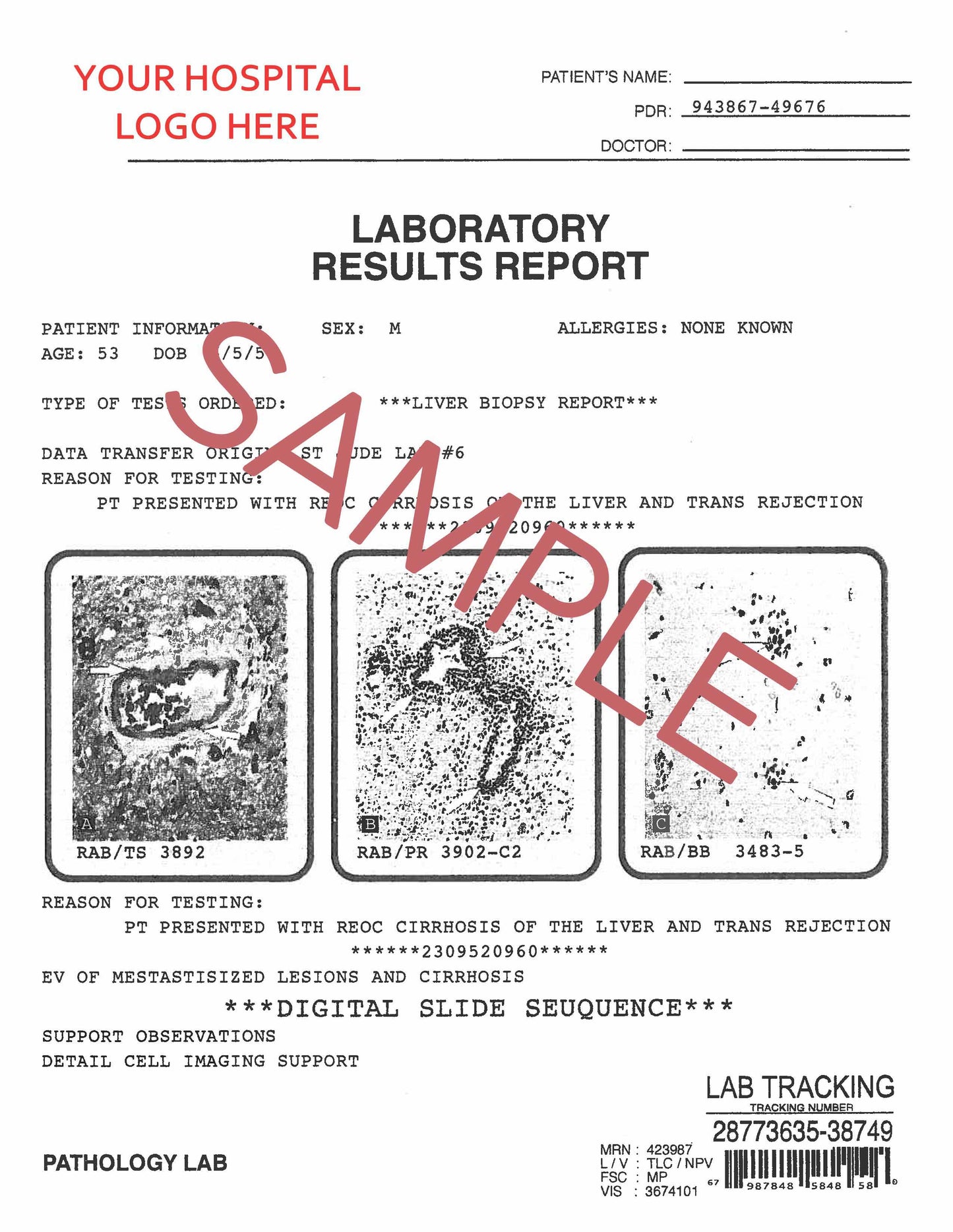 Laboratory Result Report (4 pages)