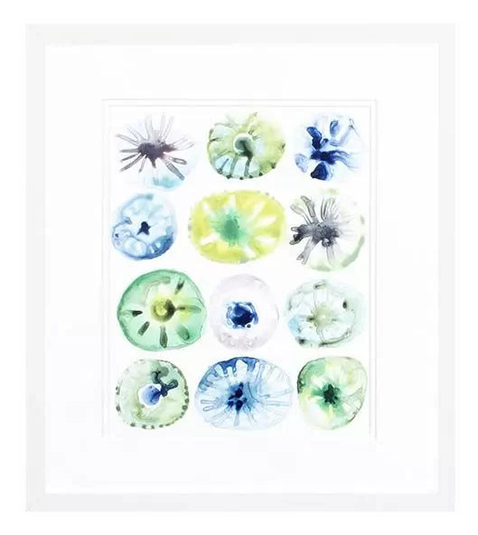 Sea Urchin Assortment I