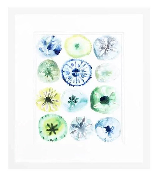 Sea Urchin Assortment II