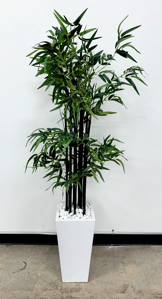 BAMBOO TREE IN WHITE POT, 72”