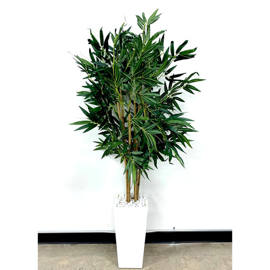 BAMBOO TREE IN WHITE POT, 66”